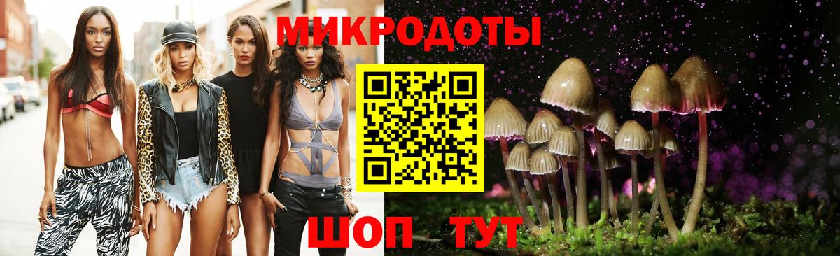 Псилоцибиновые грибы прущие грибы  Вход с VPN  Валуйки 
